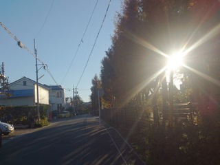 2013-11-30 07.44.17.jpg