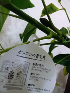 SH3J00790001.jpg